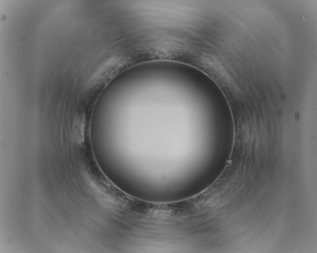 X0000089710694200706211343