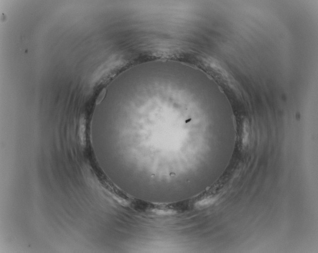 X0000089710696200706211343