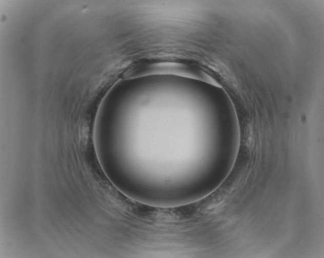 X0000089710697200706211343