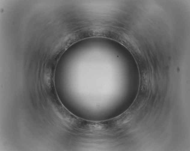 X0000089710698200706211343