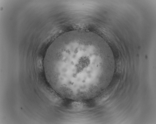 X0000089710699200706211343