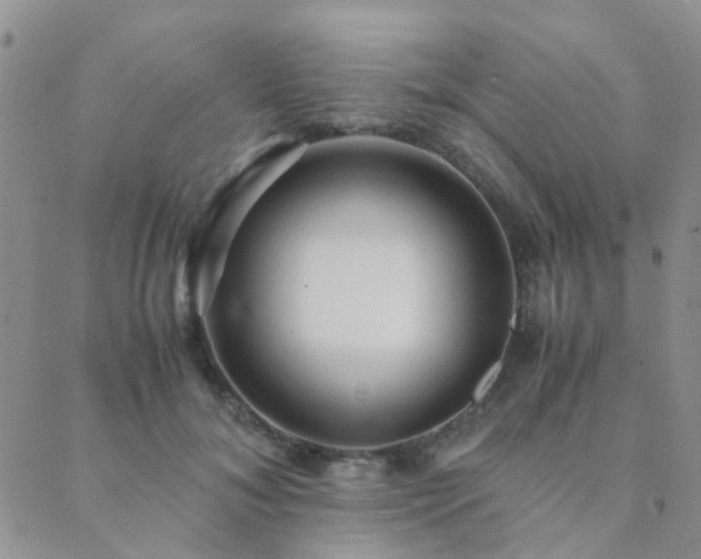 X0000089710700200706211343