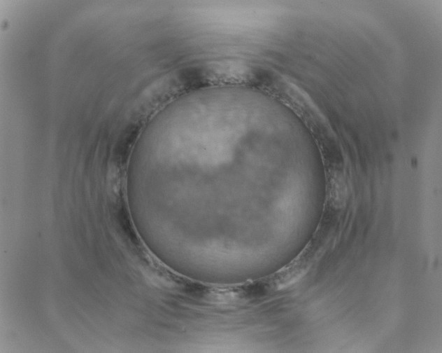 X0000089710701200706211343