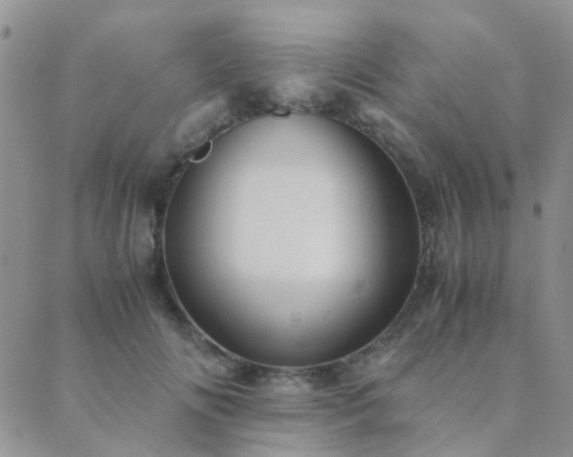 X0000089710702200706211343