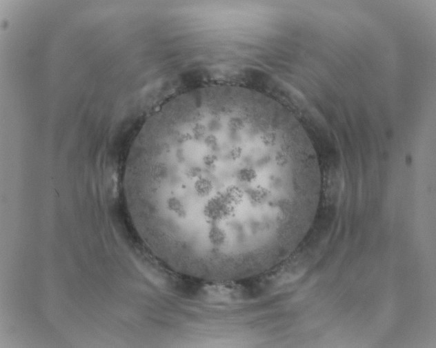 X0000089710703200706211343