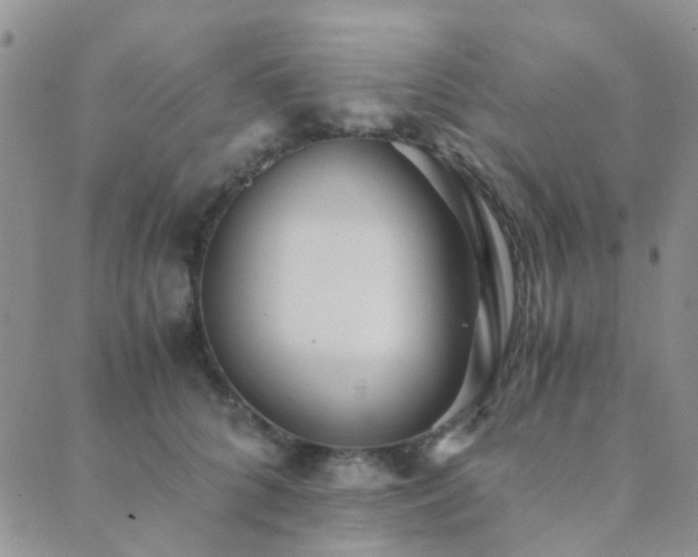 X0000089710704200706211343