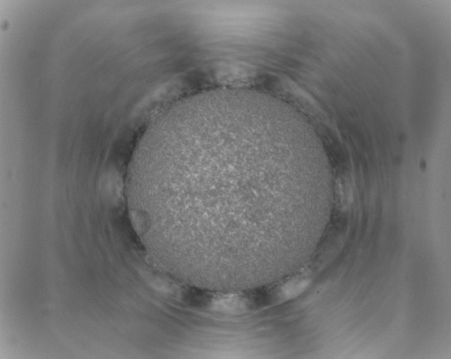 X0000089710705200706211343