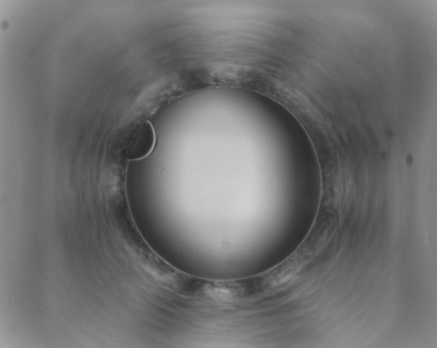 X0000089710706200706211343