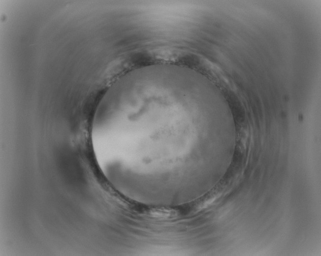 X0000089710707200706211343