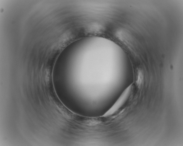 X0000089710708200706211343