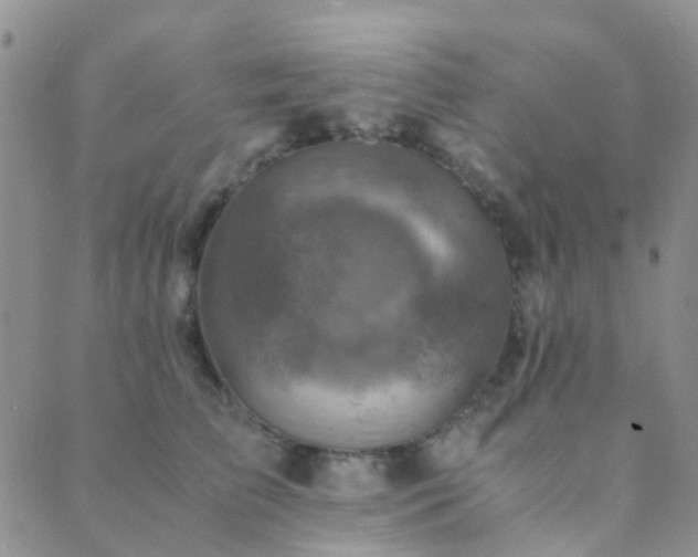 X0000089710709200706211343