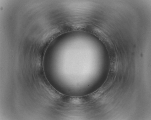 X0000089710710200706211343