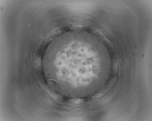 X0000089710711200706211343