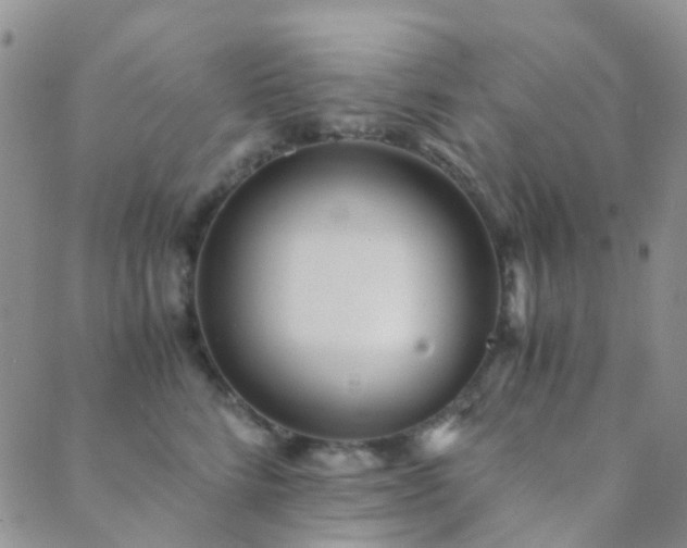 X0000089710712200706211343