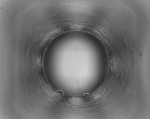 X0000089710714200706211343