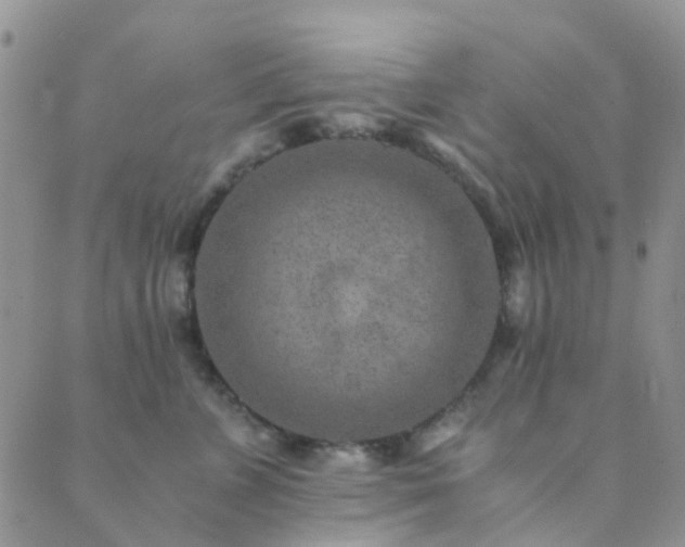 X0000089710715200706211343