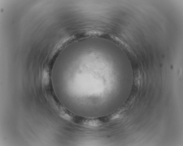 X0000089710716200706211343