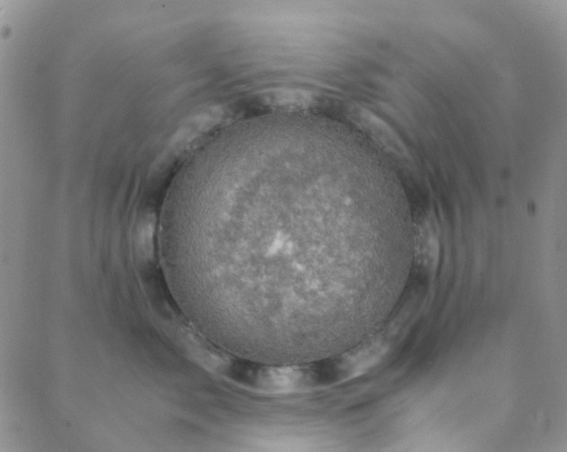 X0000089710717200706211343