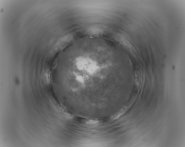 X0000089710718200706211343