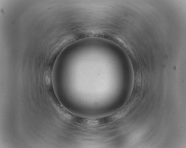 X0000089710719200706211343