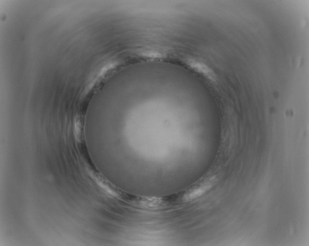 X0000089710720200706211343