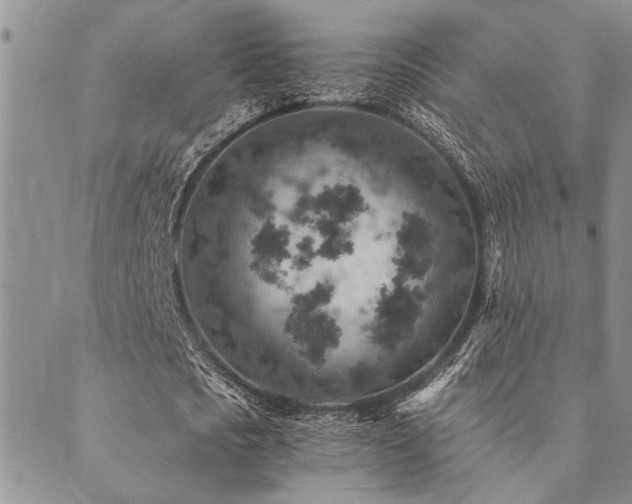 X0000089710721200706211342