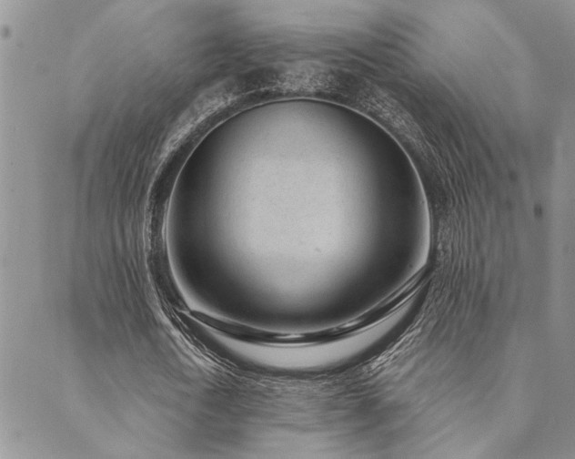 X0000089710722200706211342