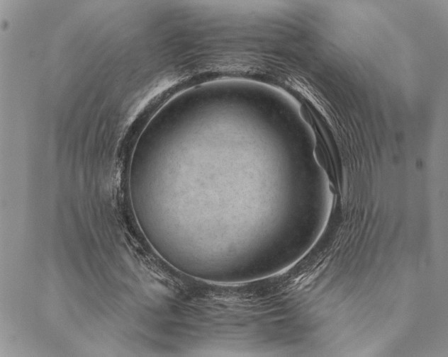 X0000089710723200706211342