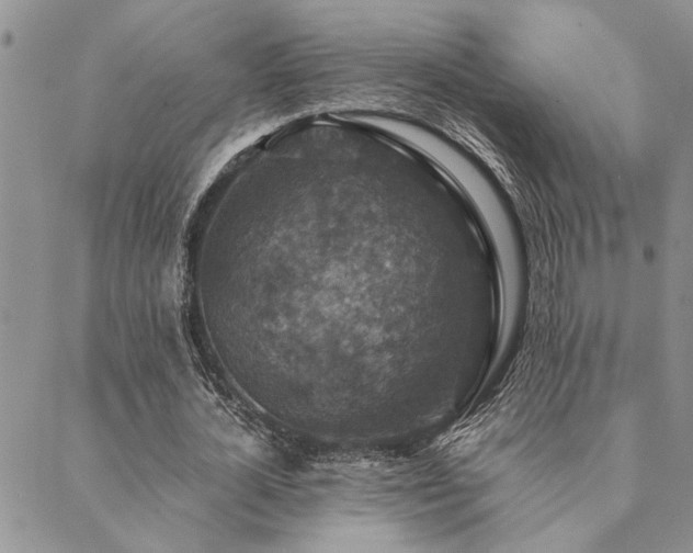 X0000089710724200706211342