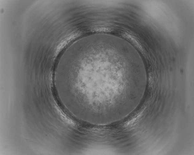 X0000089710725200706211342