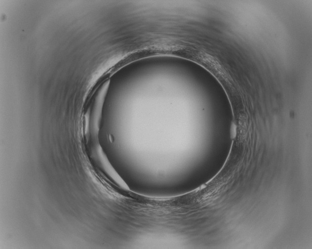 X0000089710726200706211342