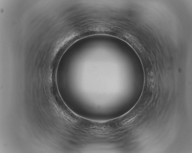 X0000089710727200706211342