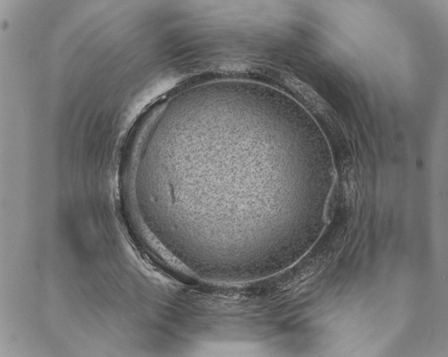 X0000089710728200706211342