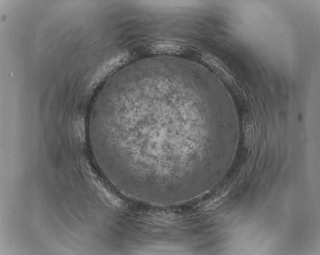 X0000089710729200706211342