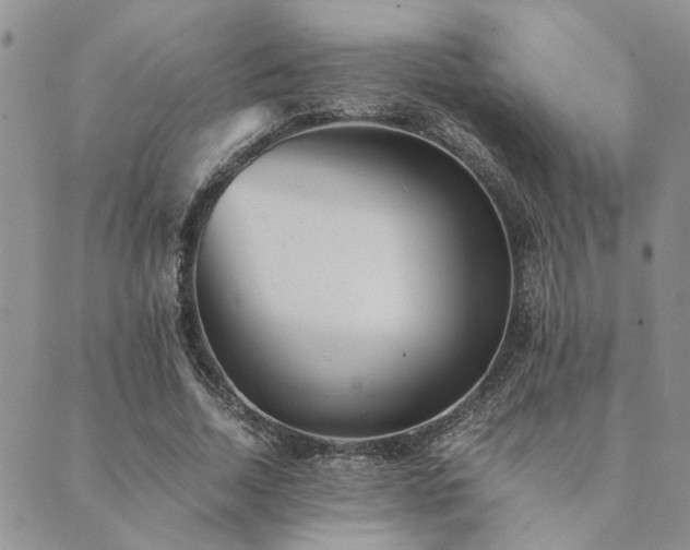 X0000089710730200706211342