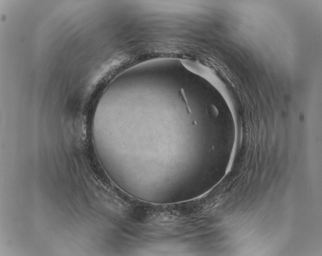 X0000089710731200706211342