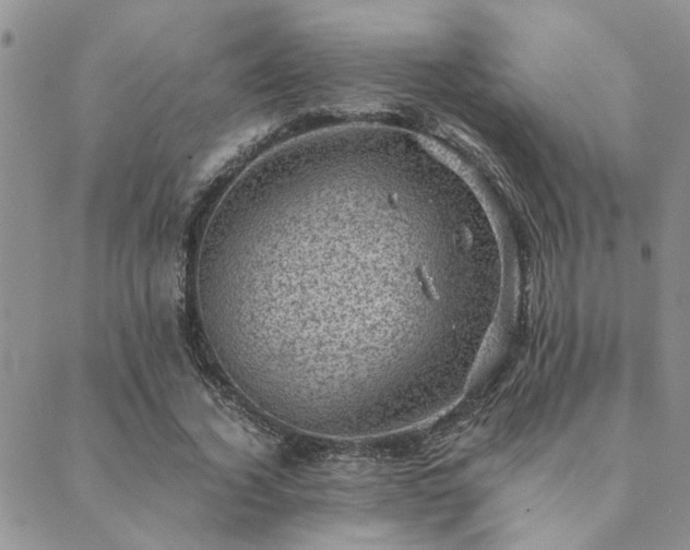 X0000089710732200706211342