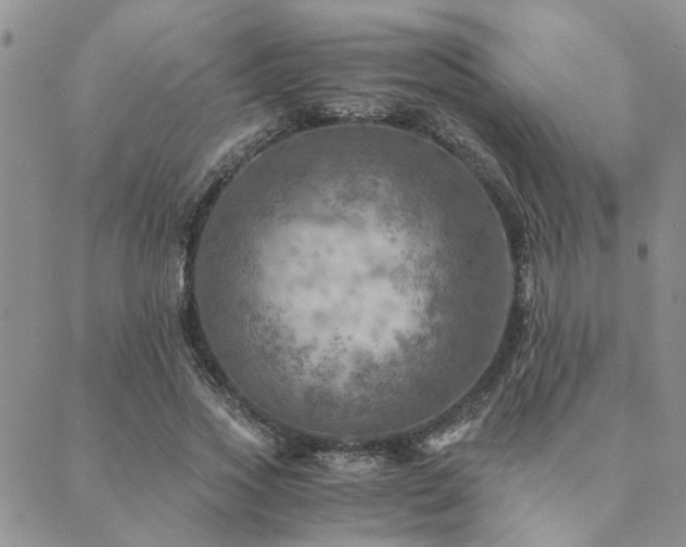 X0000089710733200706211342