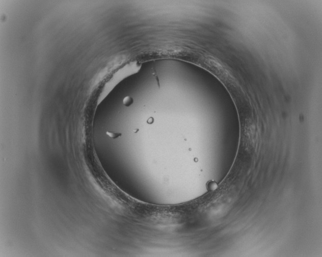 X0000089710734200706211342