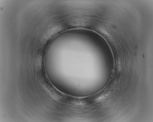 X0000089710735200706211342