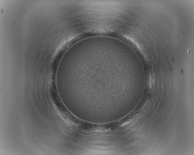 X0000089710736200706211342