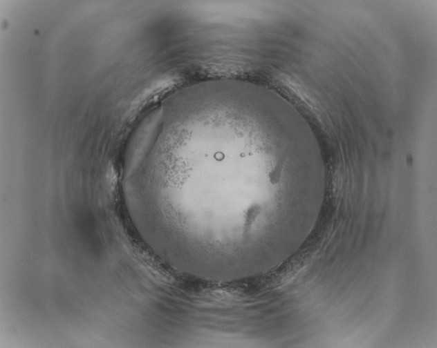 X0000089710737200706211342