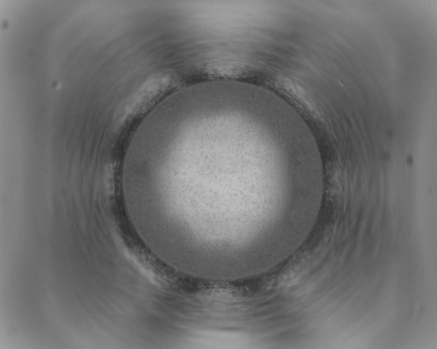 X0000089710738200706211343