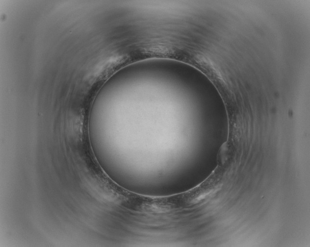 X0000089710739200706211343