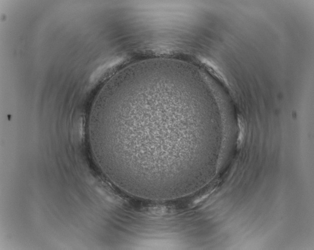 X0000089710740200706211343