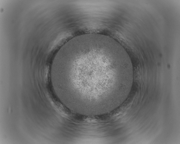 X0000089710742200706211343