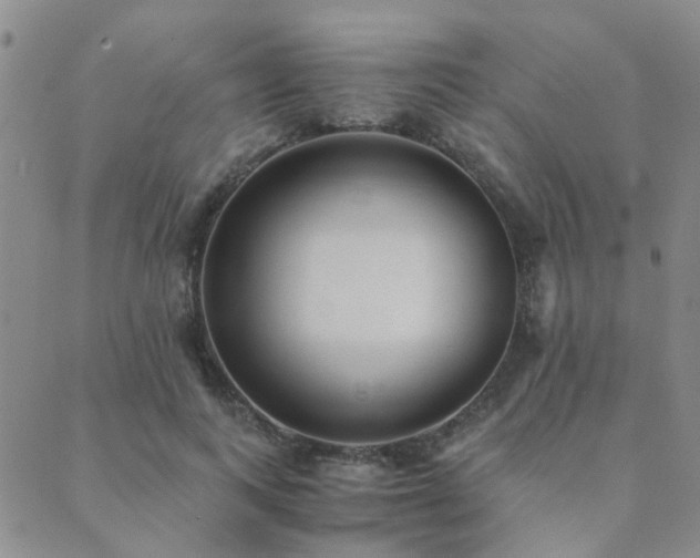 X0000089710743200706211343