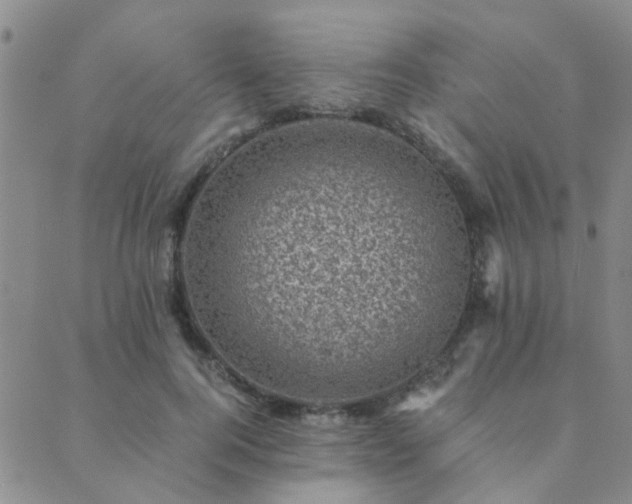 X0000089710744200706211343