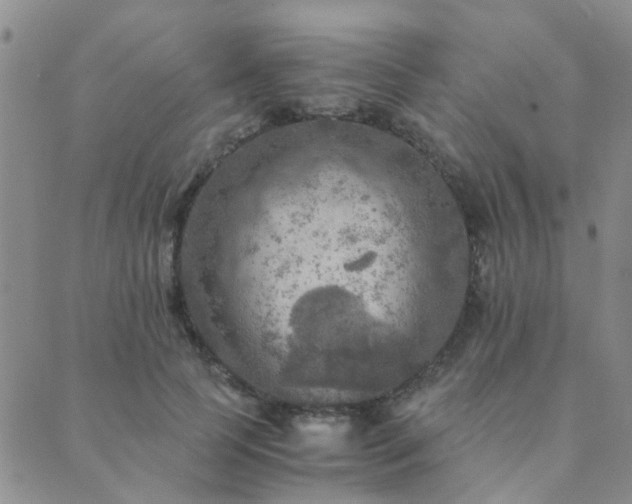 X0000089710745200706211343