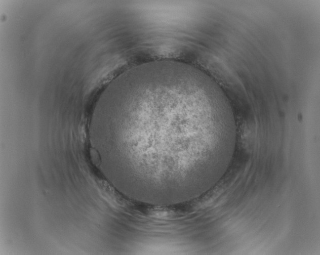 X0000089710746200706211343